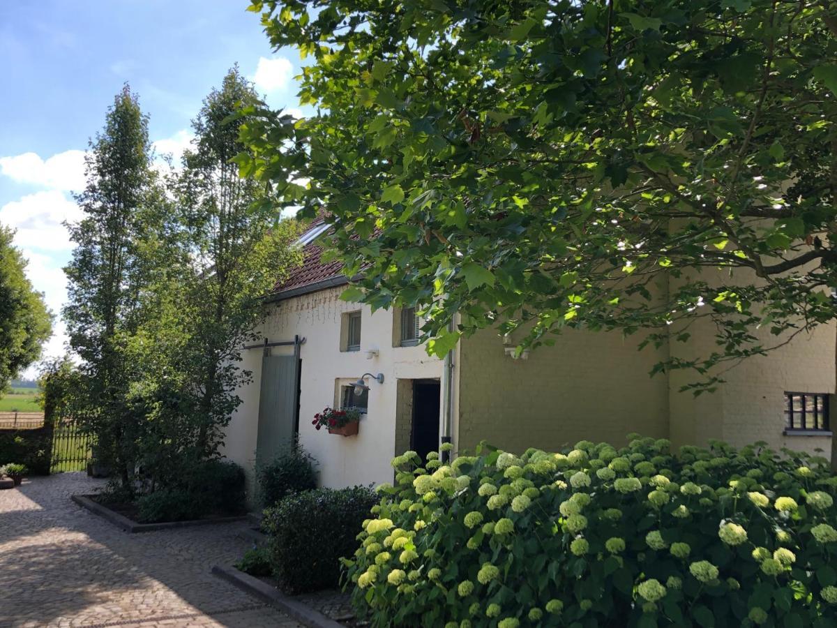 Welness Gastenverblijf Carpe Diem Opglabbeek Exteriör bild